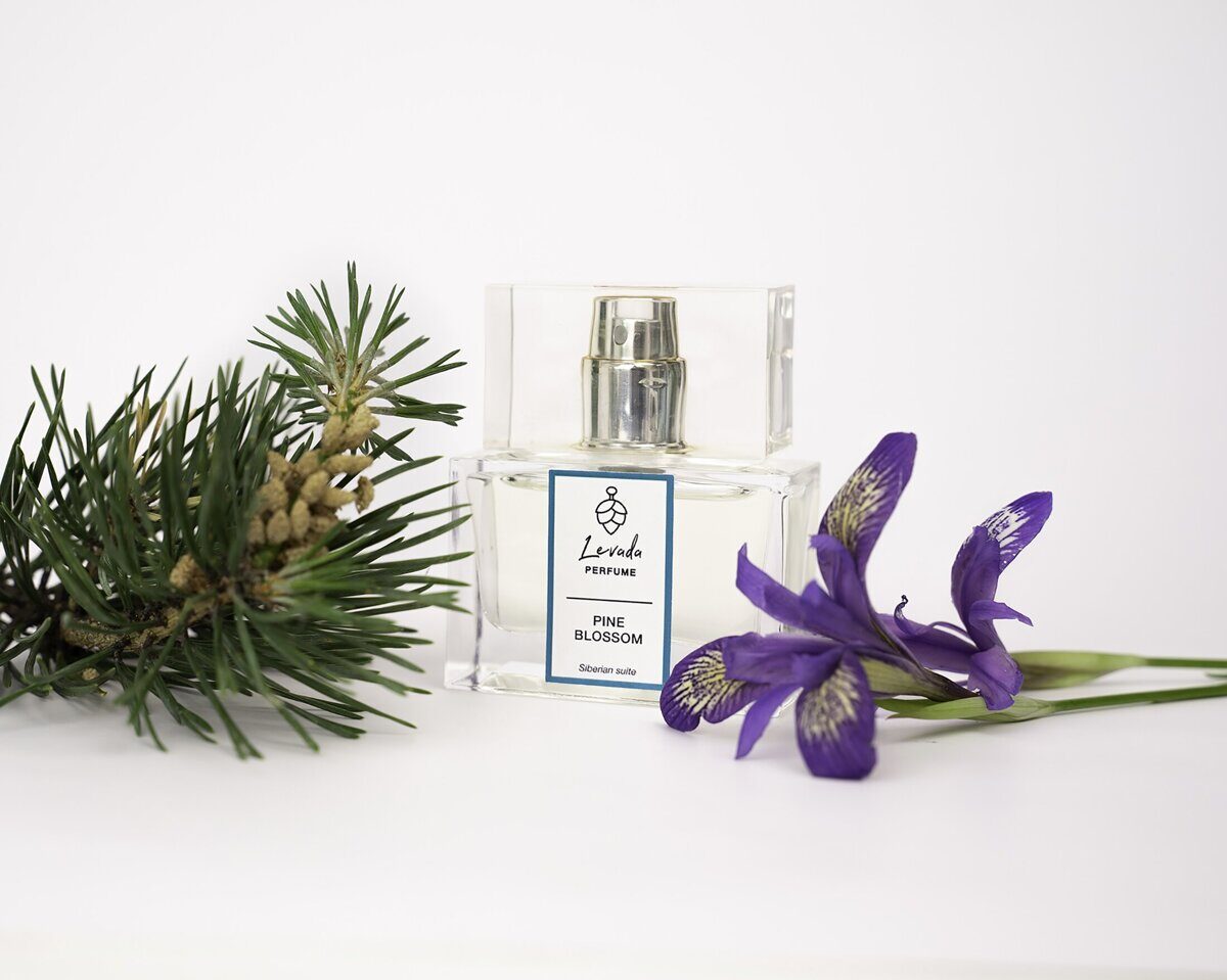 PINE BLOSSOM